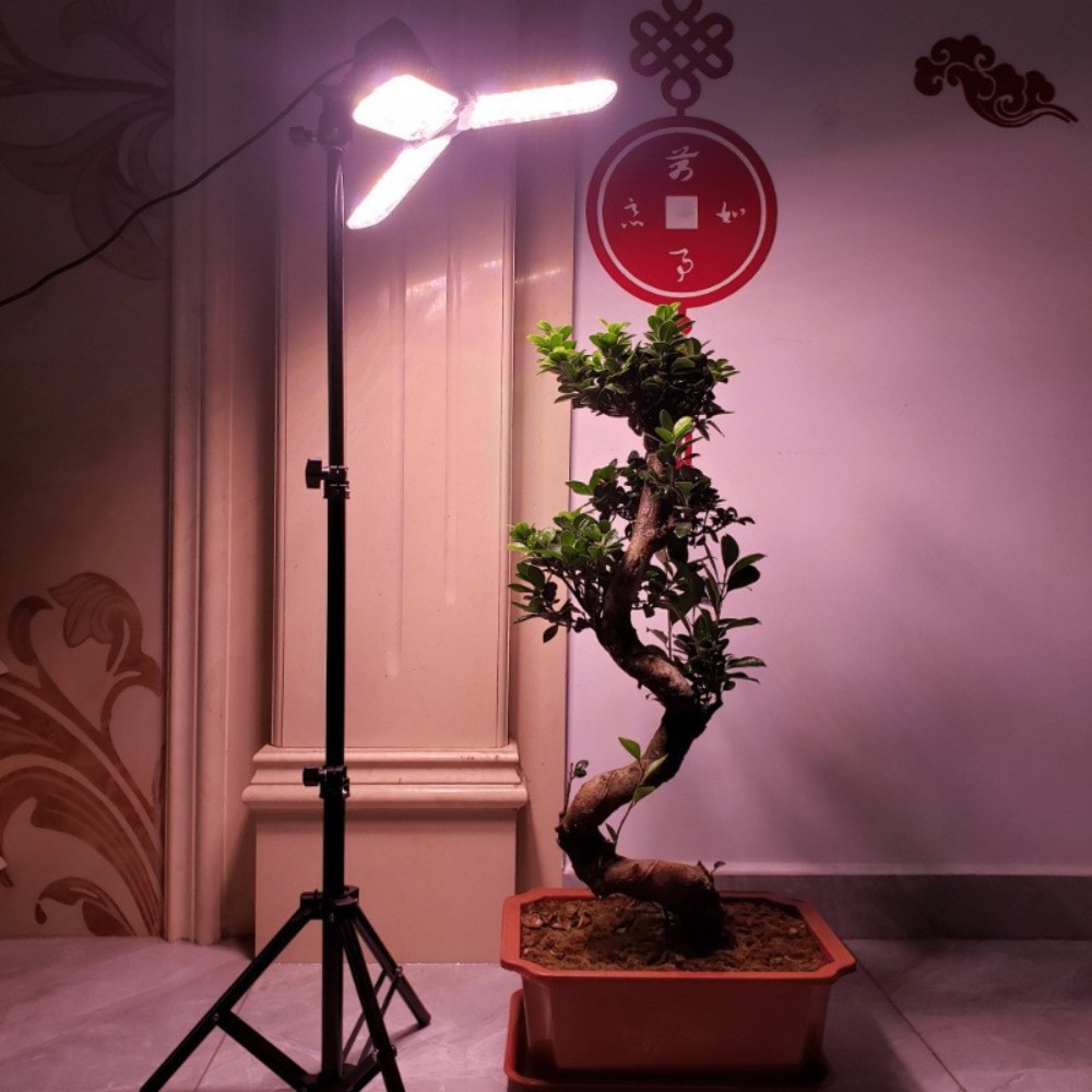 Light Bulb Stand 2M, E27 AC So - đánh giá và giá Photography Umbrella