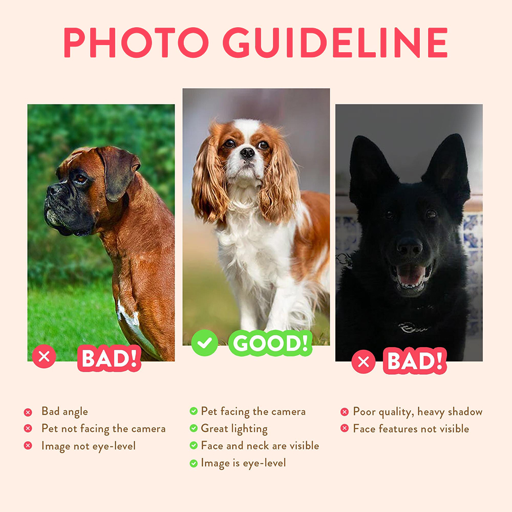 Personalized Pet Portraits Pho - đánh giá và giá Photographic Memory