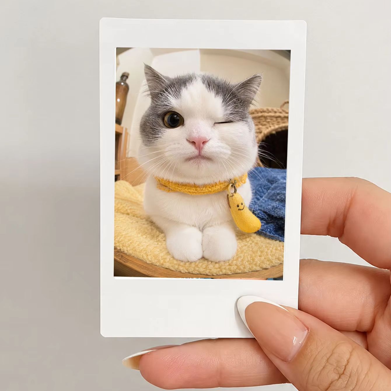 1/3/5Pcs Custom Photo Prints,  - đánh giá và giá Photographic Memory